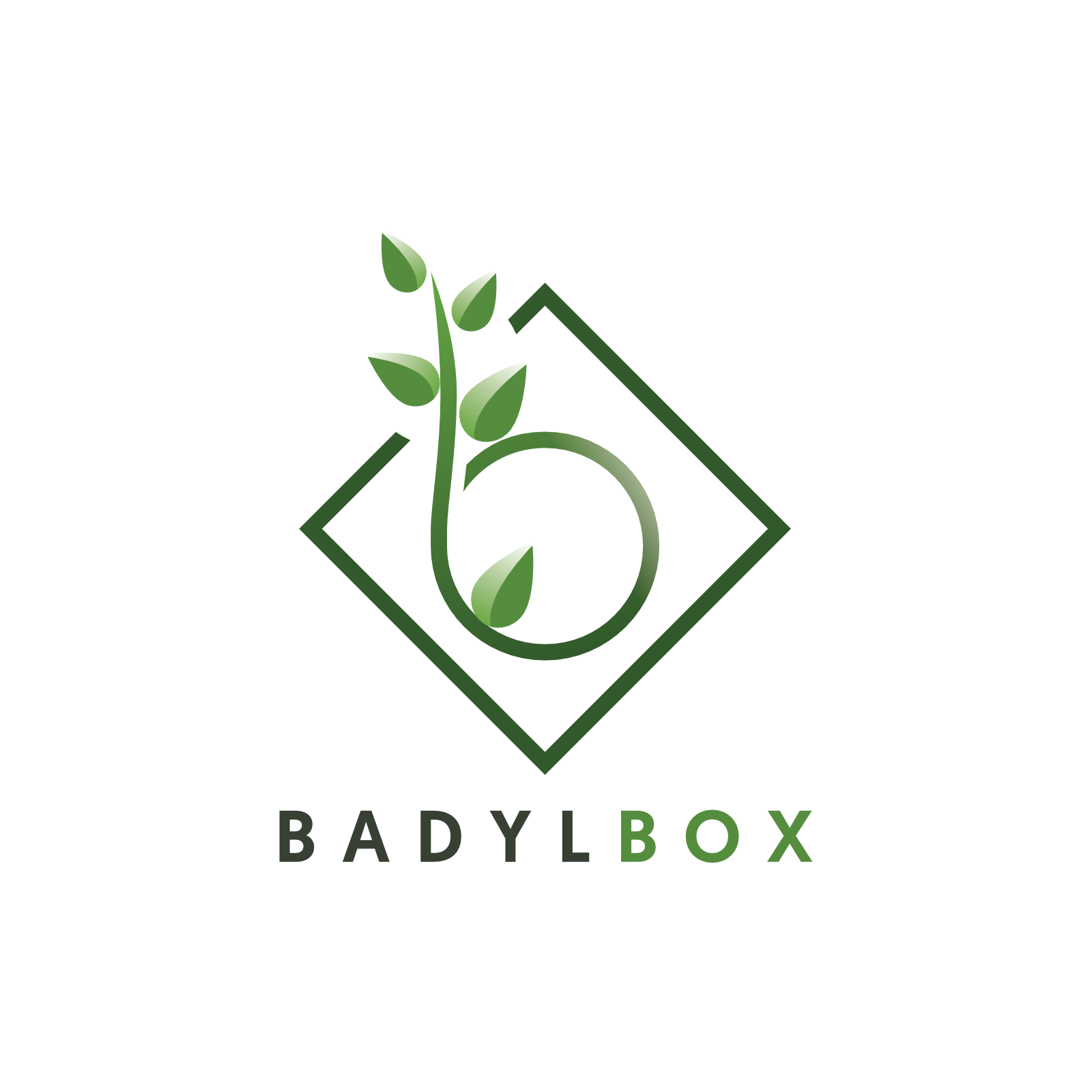 BadylBox