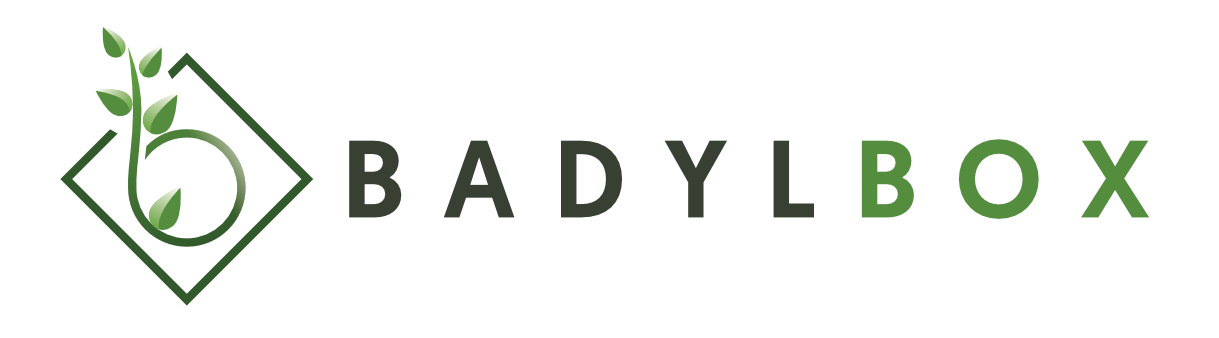 BadylBox Logo