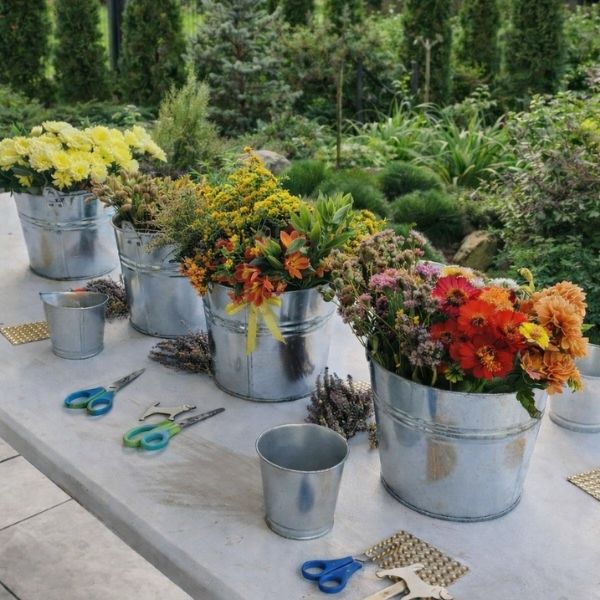 Warsztaty w Twoim domu